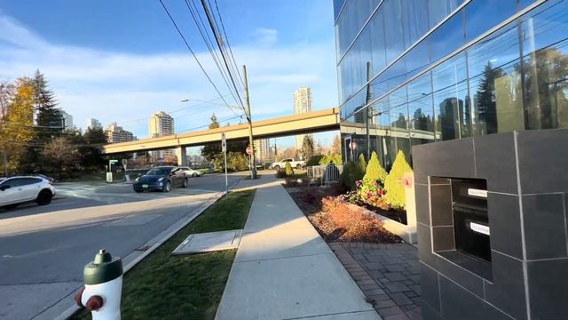 Обзор кафе La Foret в Бернаби/Ванкувер, Канада смотреть онлайн