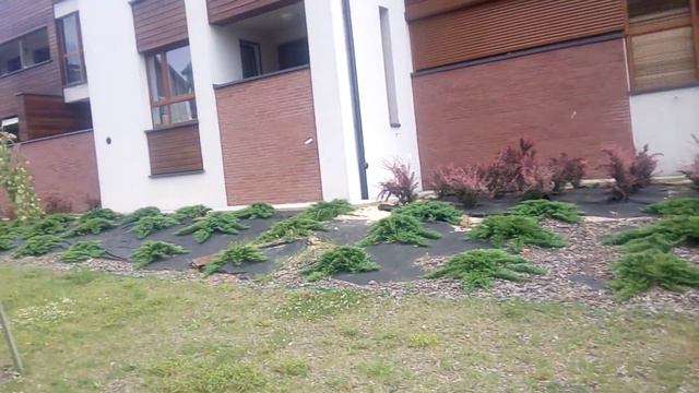 #2 Озеленение в Польше смотреть онлайн