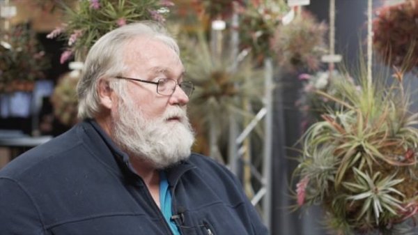 Bromeliad & Tillandsia Tips @TPIE—Part 2 — Plant One On Me — Ep 056