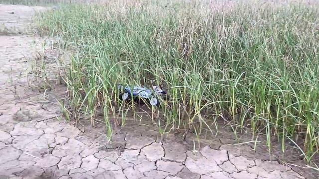 Wltoys 124017 vs Wltoys 124016 | High Speed Cars | Wltoys Brushless смотреть онлайн