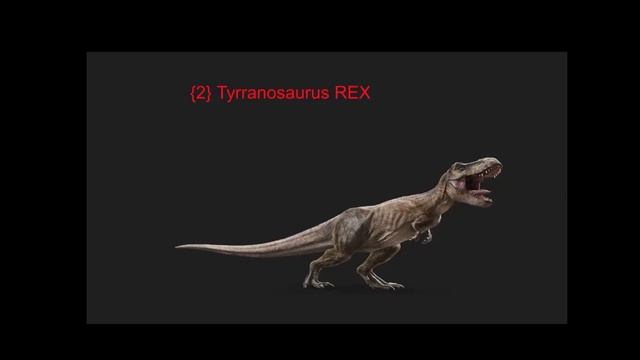 All About Dinosaurs and Review on Samsung Tab S6 Lite | A Square смотреть онлайн
