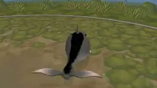 Акулу стошнило цветами смотреть онлайн