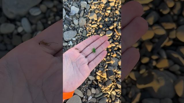 Смотрите какие красивые камни на Море ? смотреть онлайн