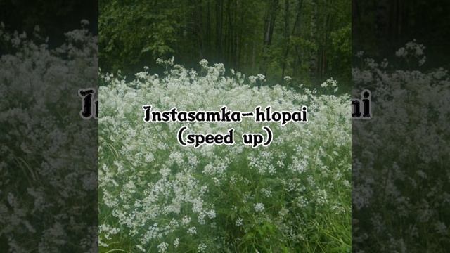 Instasamka-hlopai (speed up) смотреть онлайн