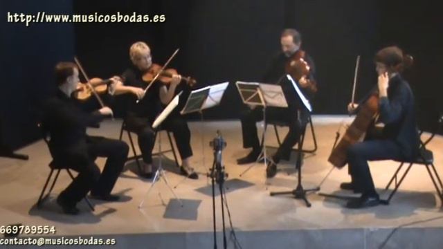 Adagio de Albinoni www.musicosbodas.es смотреть онлайн