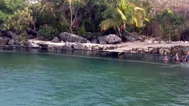 Gaffney Dolphin Ride Mexico смотреть онлайн