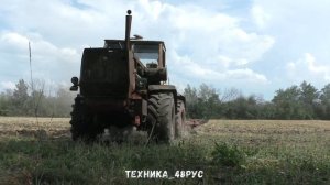Трактор Т-150К ХТЗ пашет плугом ПЛН-5-35. Советская классика. Лето 2021.mp4