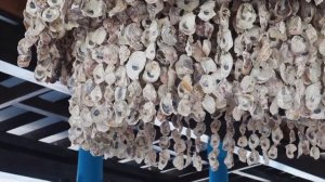 SAii Lagoon Maldives, Curio Collection by Hilton 5* / Полный обзор отеля