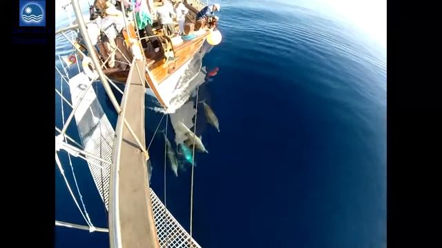 Lefteris Cruises, Chalkidiki, Kassandra смотреть онлайн
