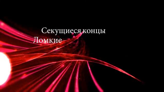 insight media смотреть онлайн