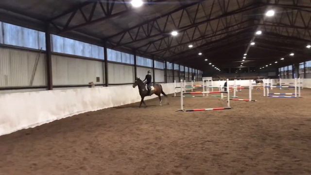 Hoppträning för Alva och Lotus WL för Tord Westergren 30/5 2019 смотреть онлайн