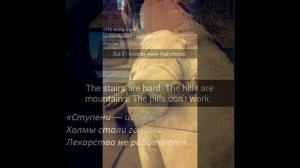 Девушка устроила своей собаки прощальный день перед усыплением