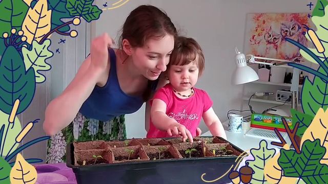 Зачем я пугаю рассаду томатов? Мой тайный секрет! Лучший способ укрепить рассаду томатов. смотреть онлайн