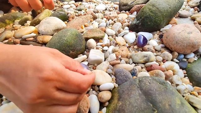 Can Ying find the big pearls from these huge seashells? Delicious + pearls смотреть онлайн