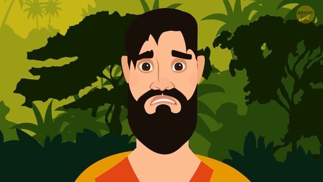 Surviving Piranha Encounters and More Safety Tips смотреть онлайн