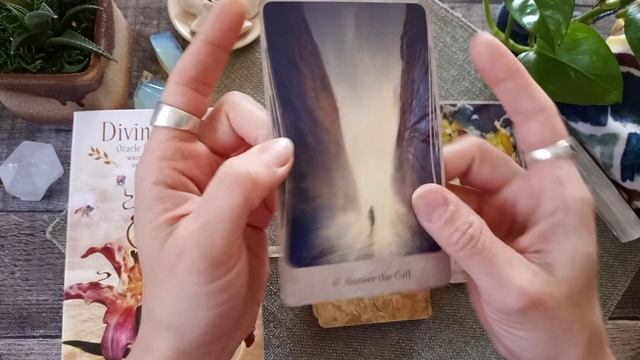 DIVINE NATURE ORACLE? | Review & Walkthrough @usgamessystems #oraclecards #inspirational смотреть онлайн