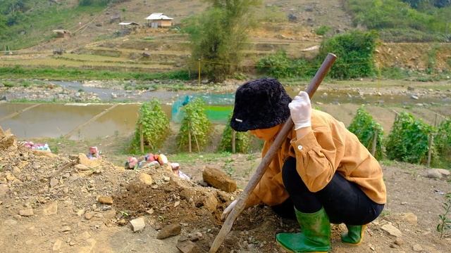 Planting bougainvillea with her daughter, building a wooden farm lamp post смотреть онлайн