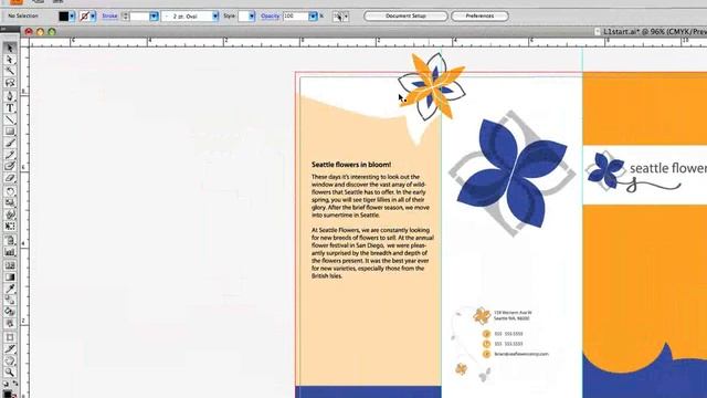 Cornish AI Adobe Illustrator overview смотреть онлайн