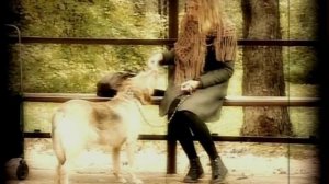 Мария Махова Не печалься