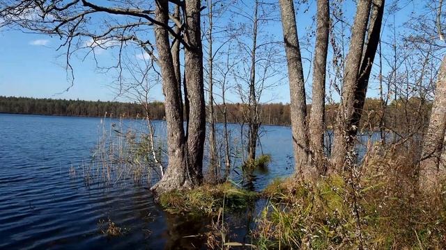 Золотая Вешка - видео из поездки к озеру. смотреть онлайн