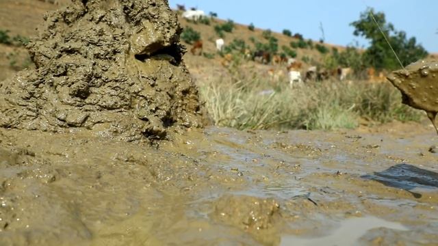 Грузовик едет сквозь огонь и грузит грязь смотреть онлайн