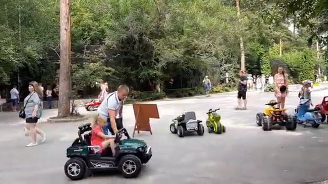 Развлечения в зооапрке смотреть онлайн