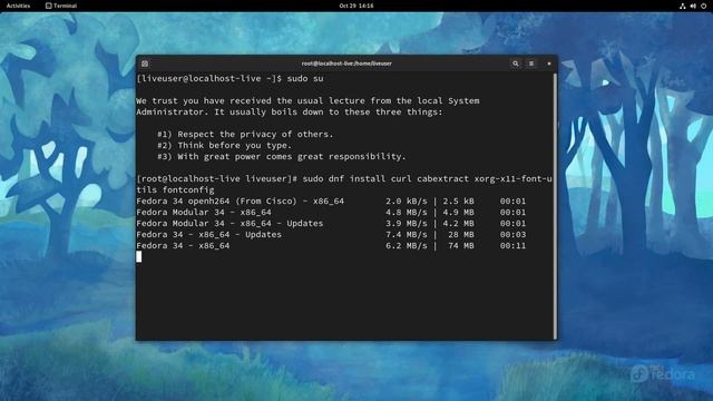 ШРИФТЫ MICROSOFT НА LINUX | Ubuntu, Fedora, Manjaro смотреть онлайн