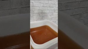 Мёд акации белой и жёлтой. Алтайский край