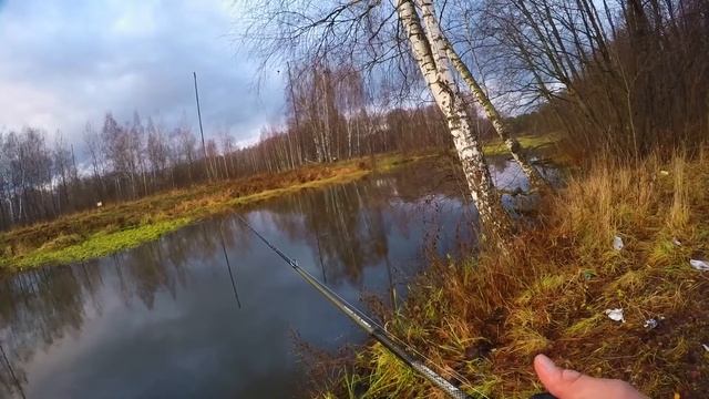 Обзор спиннинга BlackHole The Shok 229 5-21