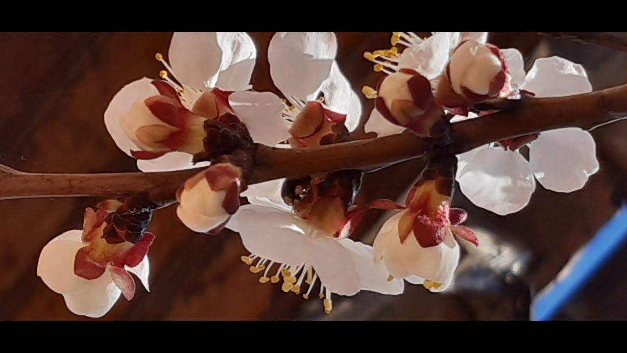 Март в моем городе-огороде смотреть онлайн