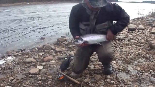 Варзуга 2015год часть 1 смотреть онлайн