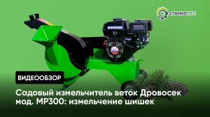 Измельчение шишек с помощью садового измельчителя веток Дровосек мод. МР300 (бензиновый двигатель)