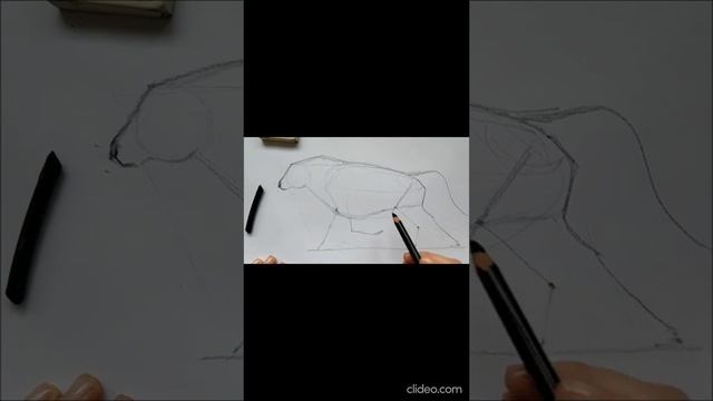 Рисунок быка углём смотреть онлайн