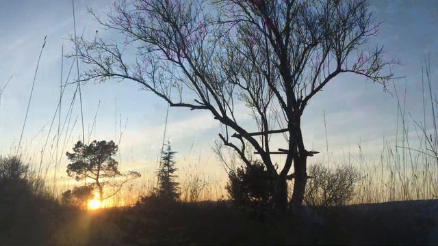 [4K] Best Relaxing Piano Music Ever - Stress Relief, Sleep Music, Meditation, Study, Focus, Yoga.. смотреть онлайн