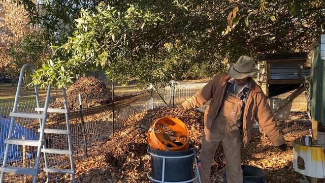 FALL LEAVES AND THE WORX WG430 LEAF MULCHER SHREDDER = FREE GARDEN MULCH / EASY AS 123