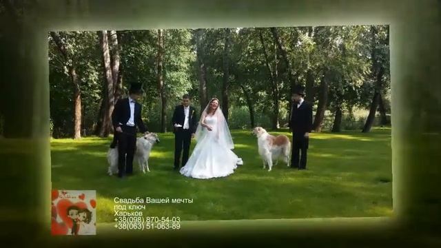 Cвадьба Харьков 2015 +38-098-870-54-03, +38-063-51-063-89 смотреть онлайн