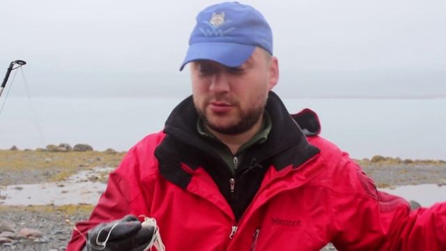 Треска, Сайда, Пикша -горячее копчение на п/о Рыбачий(Баренцево море) смотреть онлайн