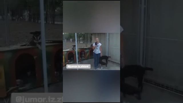 ХЛАДНОКРОВНАЯ ВЕДУЩАЯ