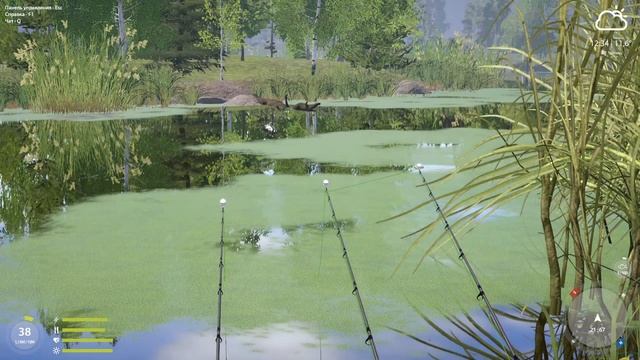 Белая Острог Архип Комарь? РР4  русскаярыбалка4