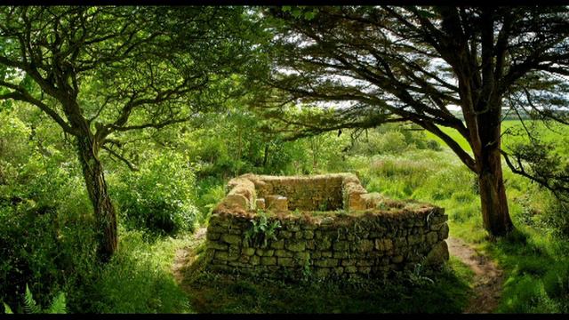 Celtic Morning - [Medieval Irish Romantic Music Ballad] Guitar Violin Flute 2016 смотреть онлайн