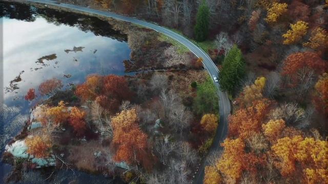 Тихий ужас и Голоса в голове. Загадочная история Татьяны смотреть онлайн