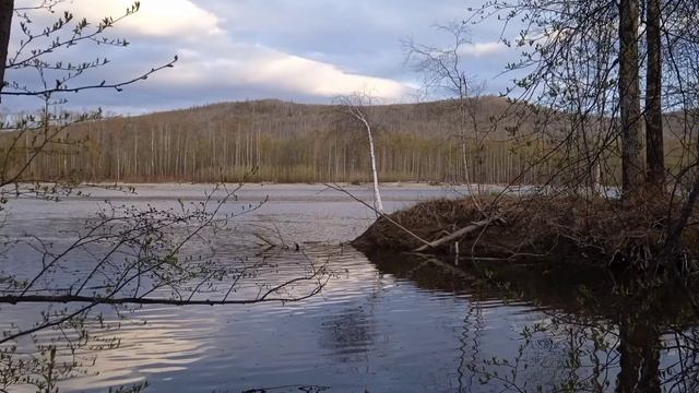 Хабаровский край, река Амгунь, хариус смотреть онлайн