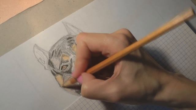 Как нарисовать собаку. Рисуем Американского булли смотреть онлайн