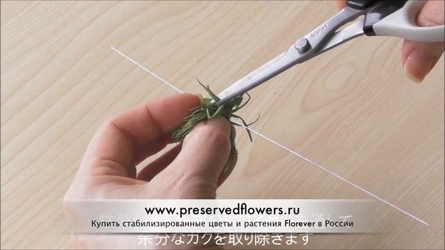 Мастер-класс по стабилизированной флористике от Florever. Бутоны Грин Бол смотреть онлайн