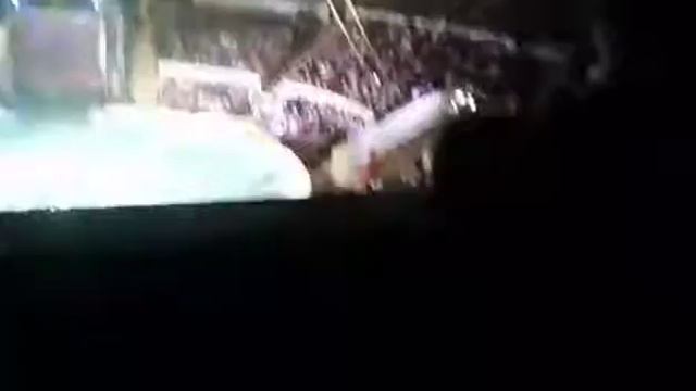 Ночь в цирке