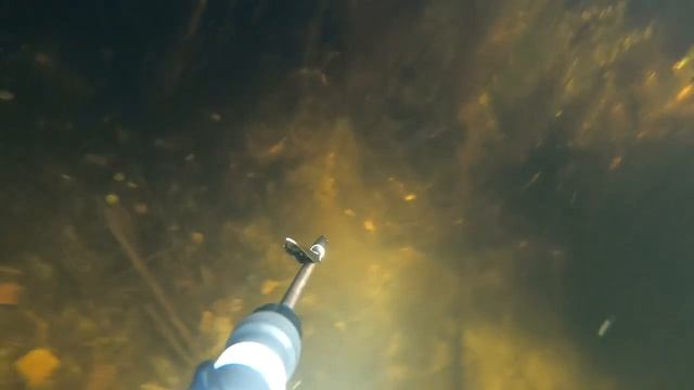 Просто подводная охота в удовольствие смотреть онлайн