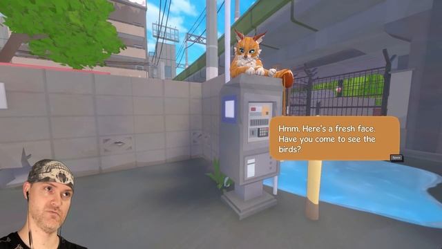 КАК КОТ ДЫМОК ВЫПАЛ ИЗ ОКНА ► Little Kitty Big City Demo |1| смотреть онлайн