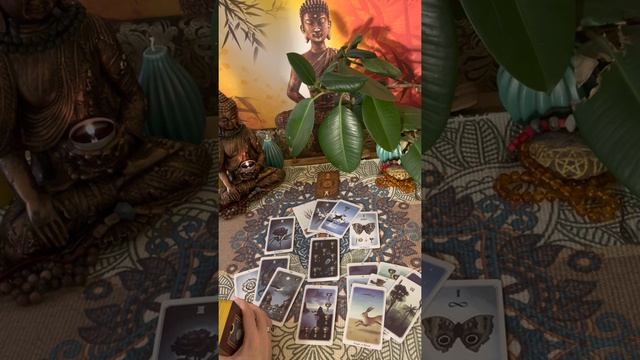 ЗАЧЕМ МЫ ВСТРЕТИЛИСЬ? СУТЬ ОТНОШЕНИЙ. ТАРО. ГАДАНИЕ. RELAX. смотреть онлайн