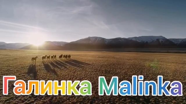 Колесниковы /Развели нас или Лёха попал на деньги? /Обзор Влогов / смотреть онлайн