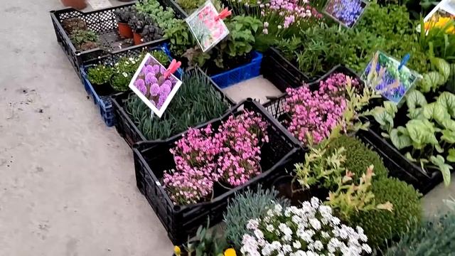 Краснодар цветочный рынок 11 мая 22 г смотреть онлайн